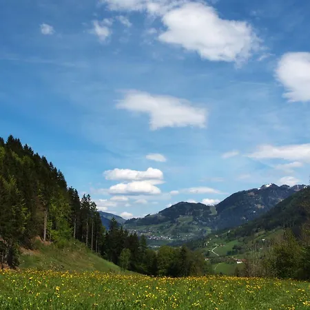 Farm stay Unterhofgut Goldegg